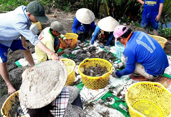 VDU 007 Dan Van Kheo.jpg